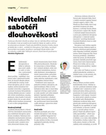 úvodní stránka