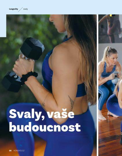 úvodní stránka